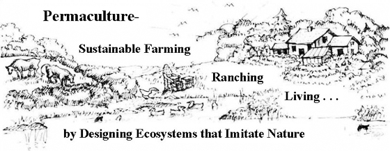What is Permaculture_img_0_1